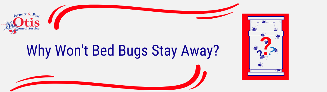 Why Won't Bed Bugs Stay Away?
