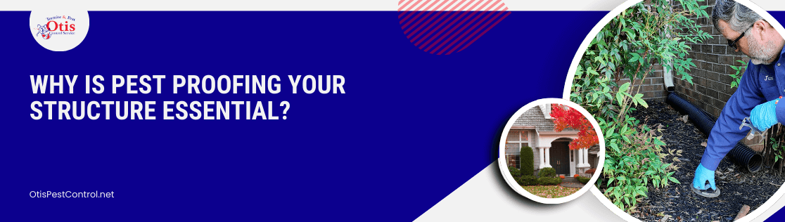 Why Is Pest Proofing Your Structure Essential?