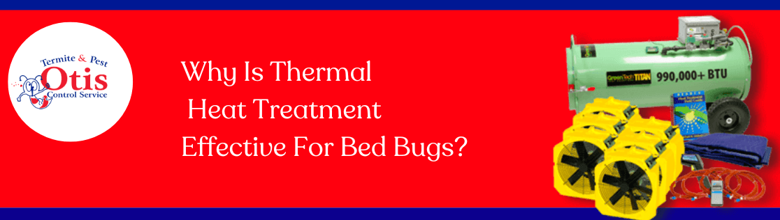 Why Is Thermal Heat Treatment Effective For Bed Bugs?