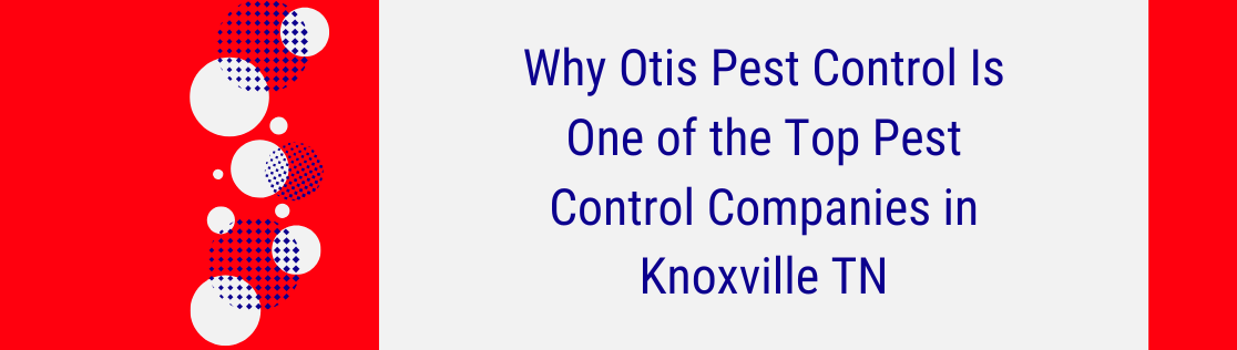 Why Otis Pest Control Is One of the Top Pest Control Companies in Knoxville TN