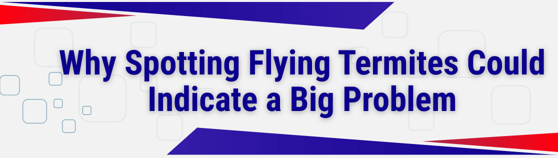 Why Spotting Flying Termites Could Indicate a Big Problem