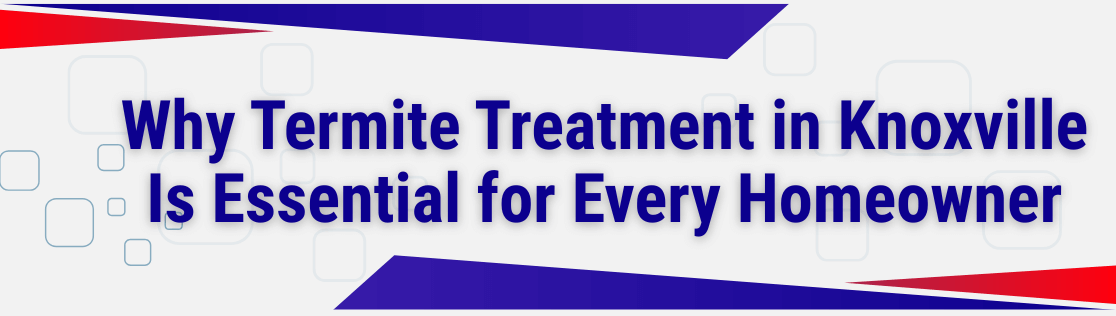 Why Termite Treatment in Knoxville Is Essential for Every Homeowner