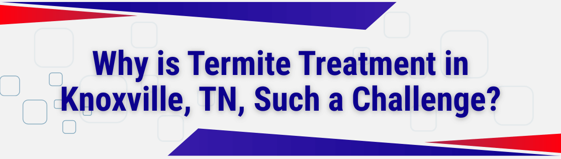 Why is Termite Treatment in Knoxville, TN, Such a Challenge?